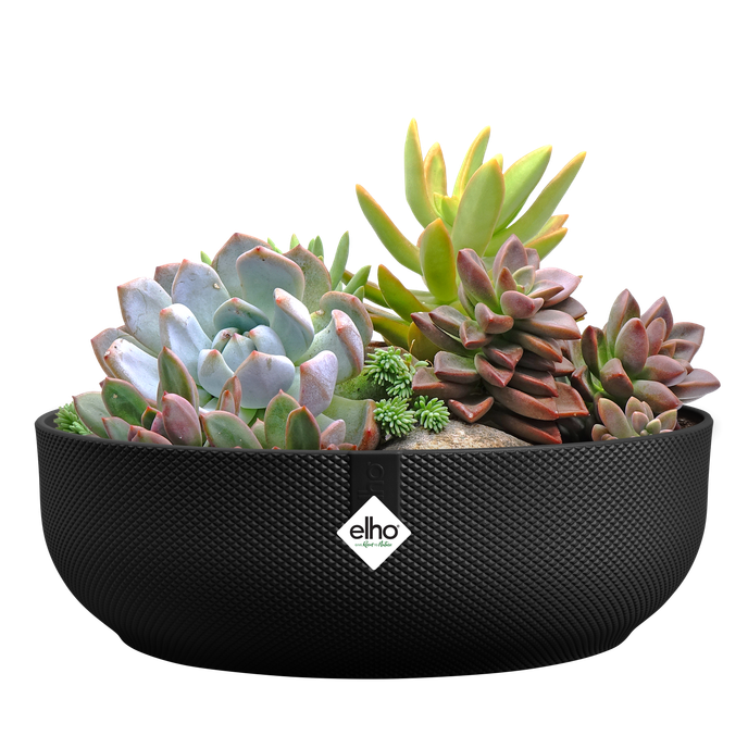 jazz bowl 28cm living schwarz